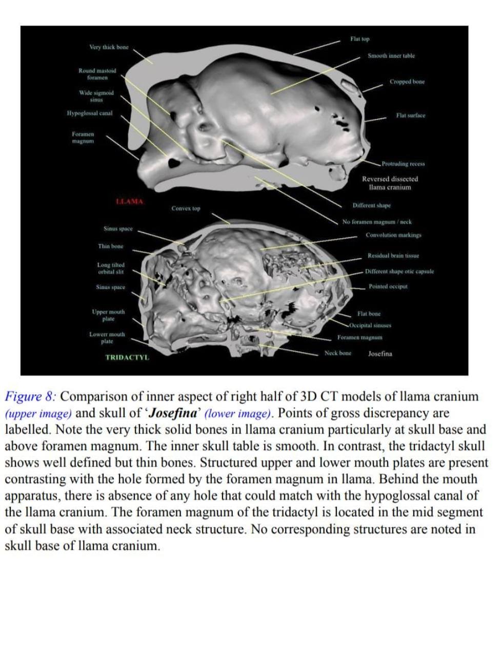 Annotated interior · Key structural differences identified in the report